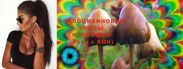бошки Дмитровск