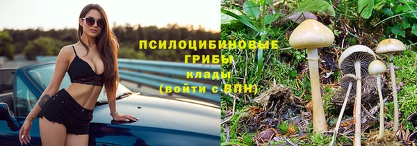экстази Гусев