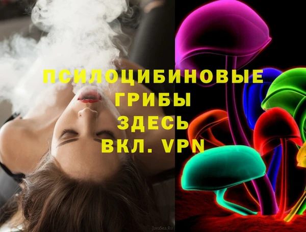 экстази Гусев