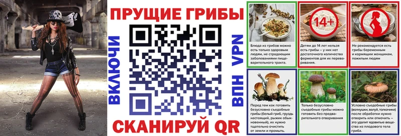 Псилоцибиновые грибы GOLDEN TEACHER  Купить где  Печоры 